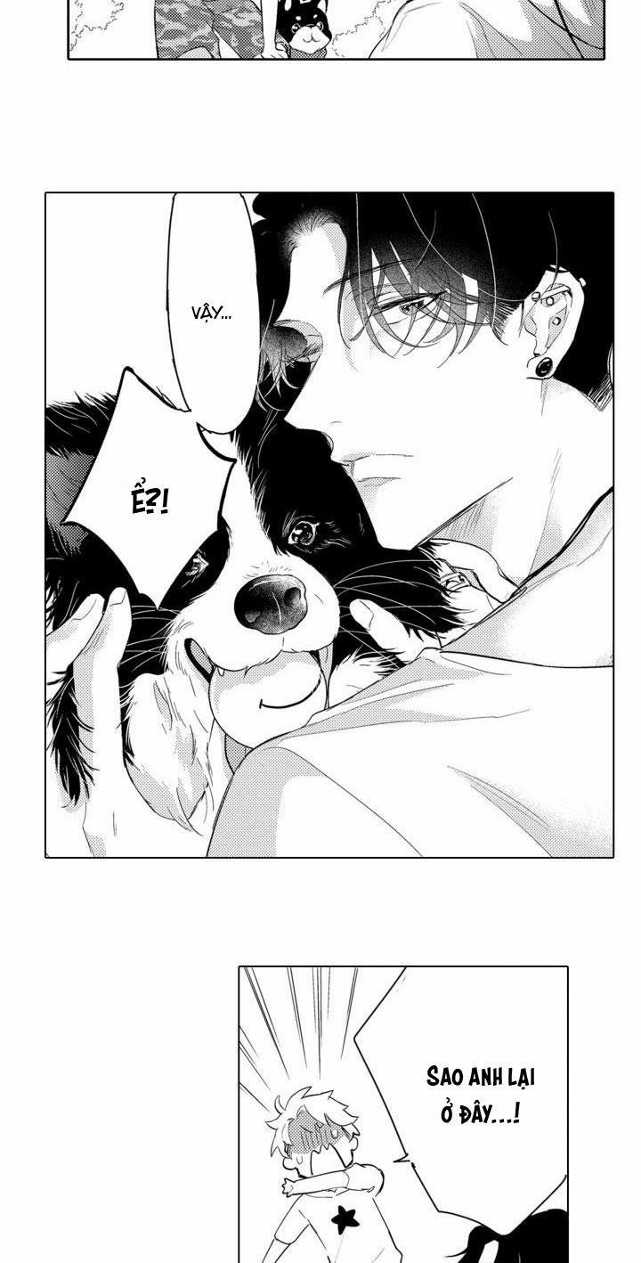 Hiyoko-chan To Harinezumi-kun 3 trang 16