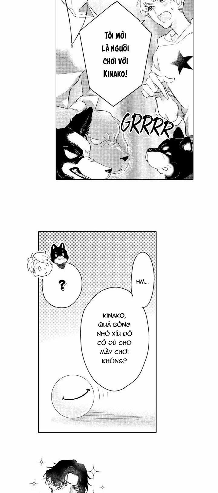 Hiyoko-chan To Harinezumi-kun 3 trang 19