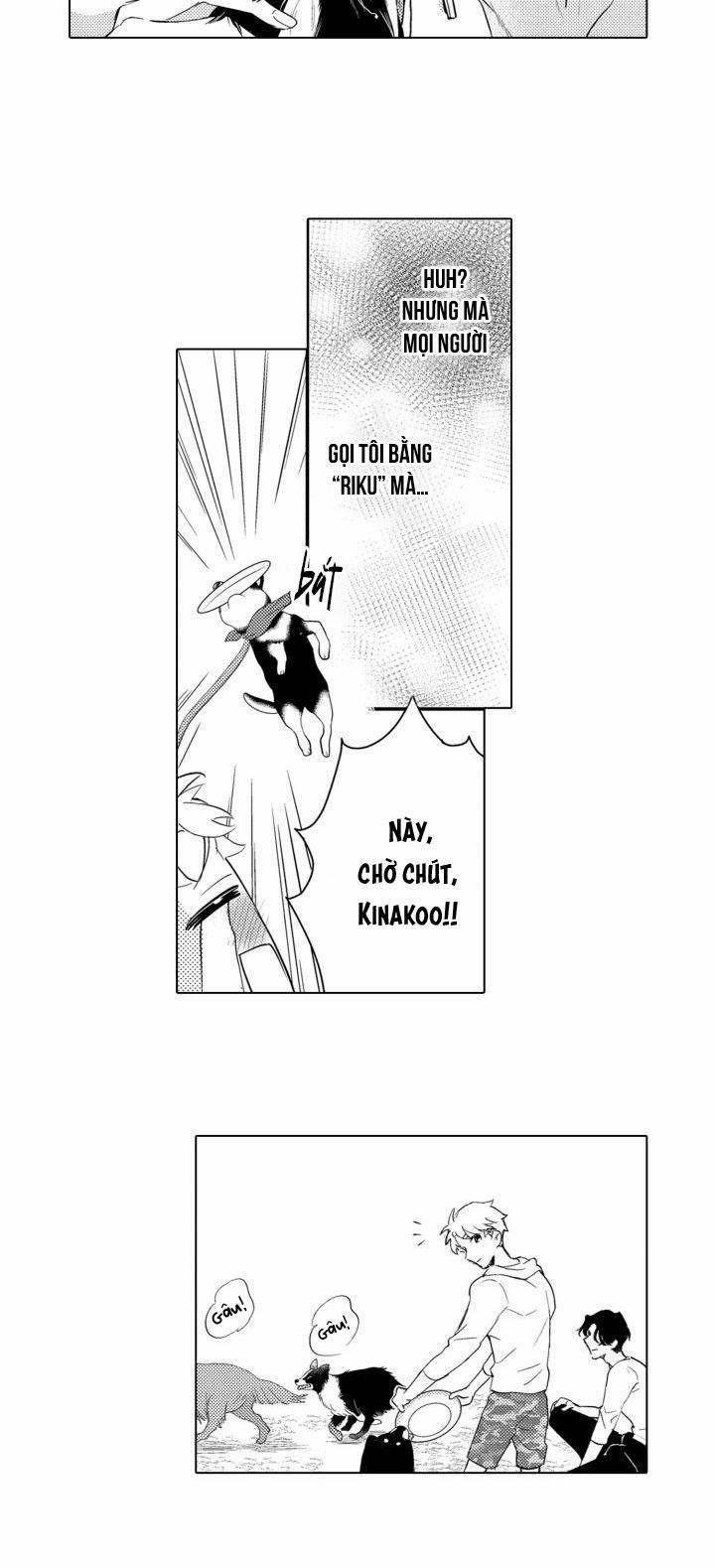 Hiyoko-chan To Harinezumi-kun 3 trang 22