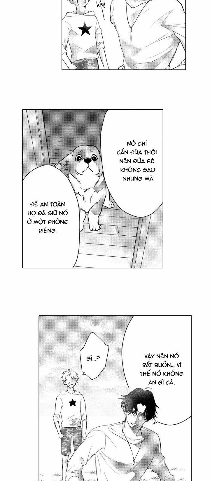 Hiyoko-chan To Harinezumi-kun 3 trang 25