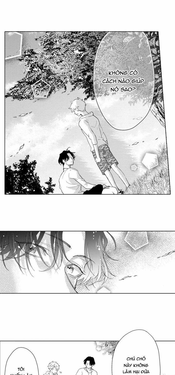 Hiyoko-chan To Harinezumi-kun 3 trang 27