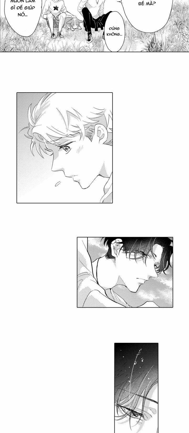 Hiyoko-chan To Harinezumi-kun 3 trang 28