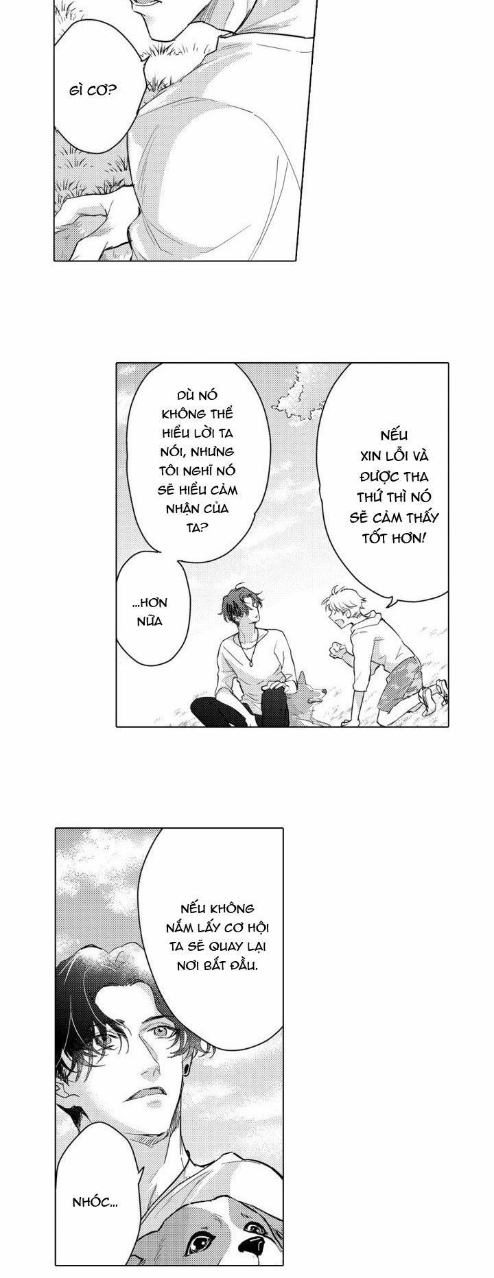 Hiyoko-chan To Harinezumi-kun 3 trang 37