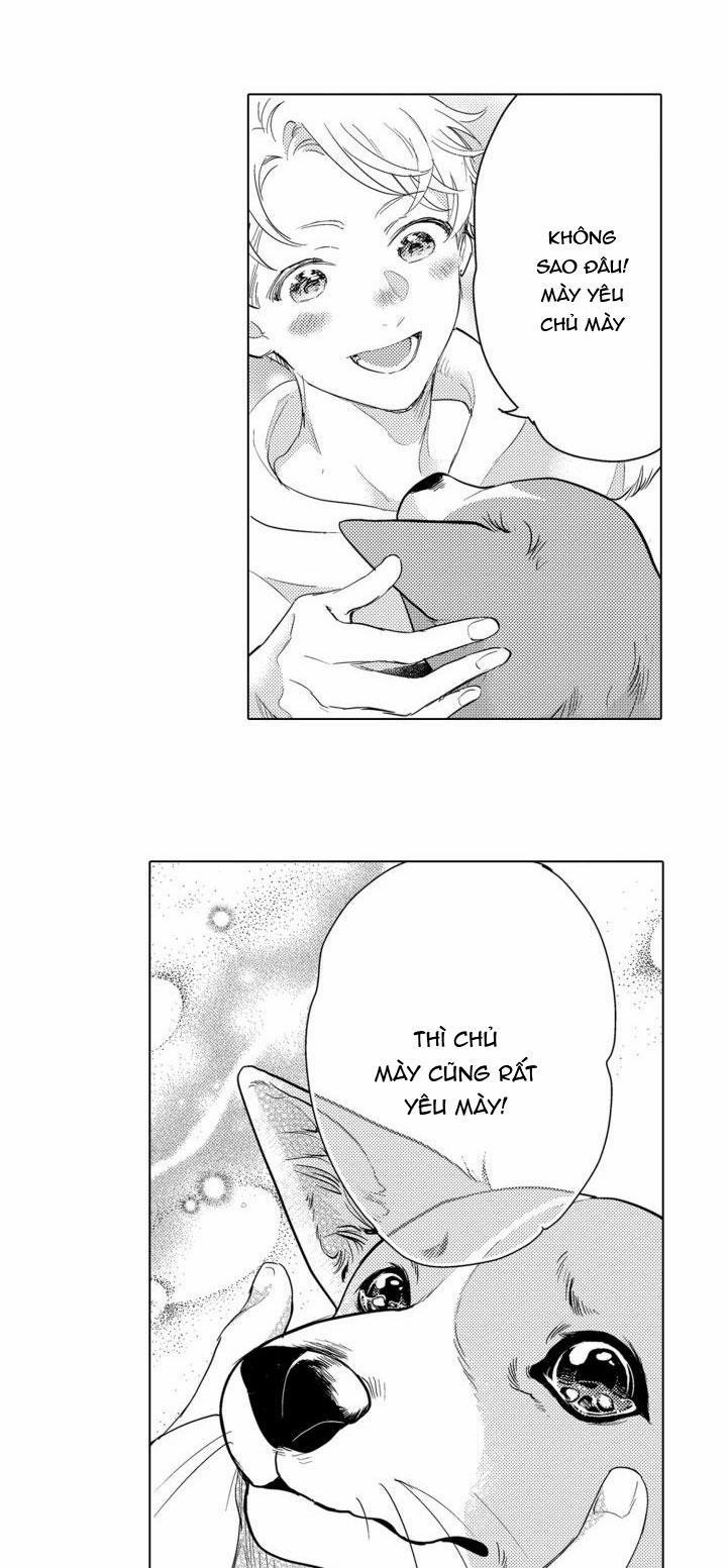 Hiyoko-chan To Harinezumi-kun 3 trang 38