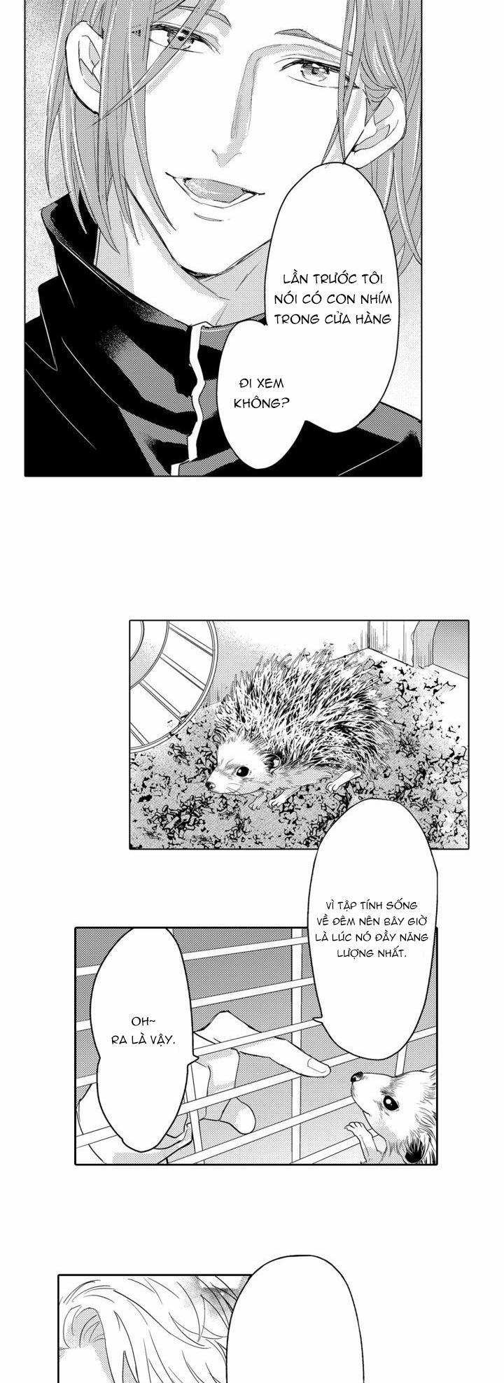 Hiyoko-chan To Harinezumi-kun 8 trang 35