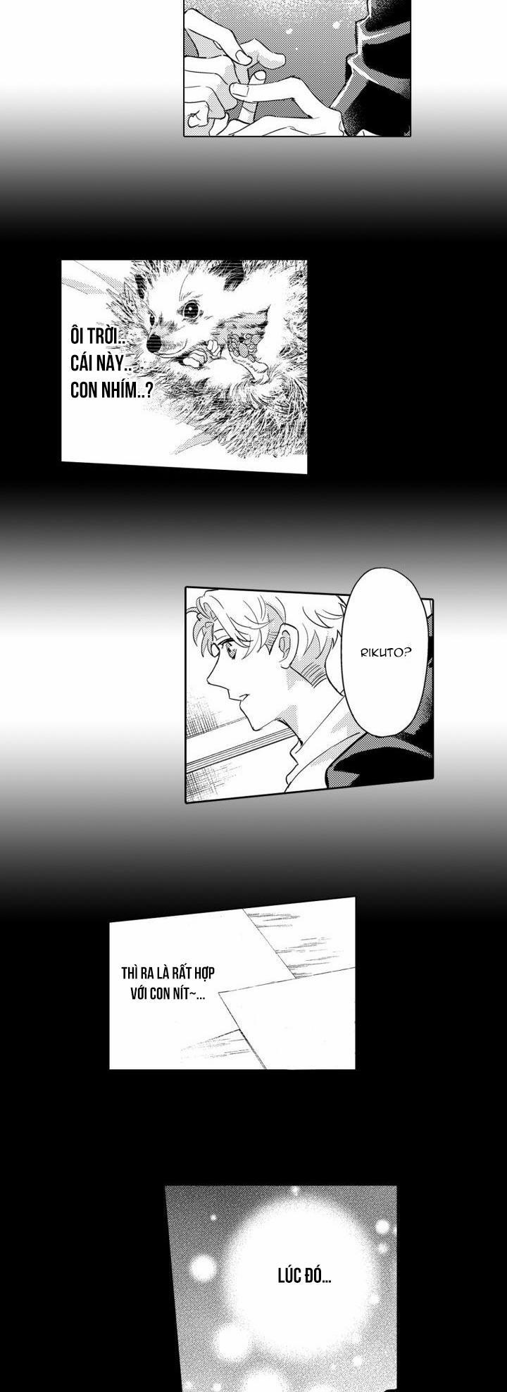 Hiyoko-chan To Harinezumi-kun 8 trang 38