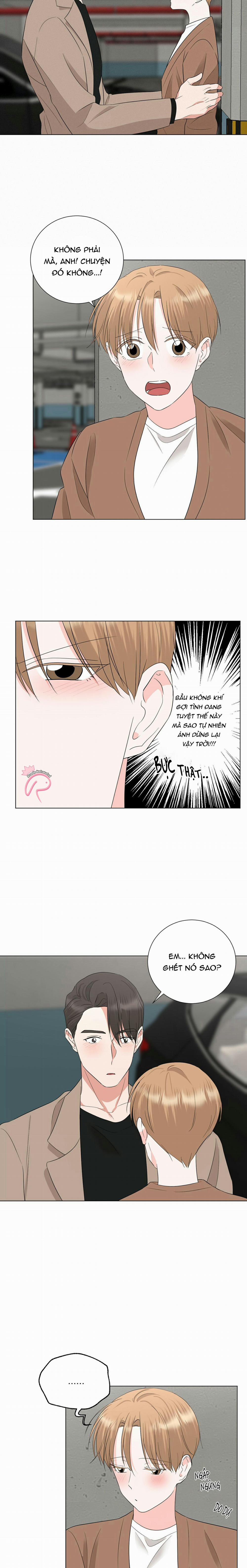 Họ Đã Ngủ Với Nhau 17 trang 4