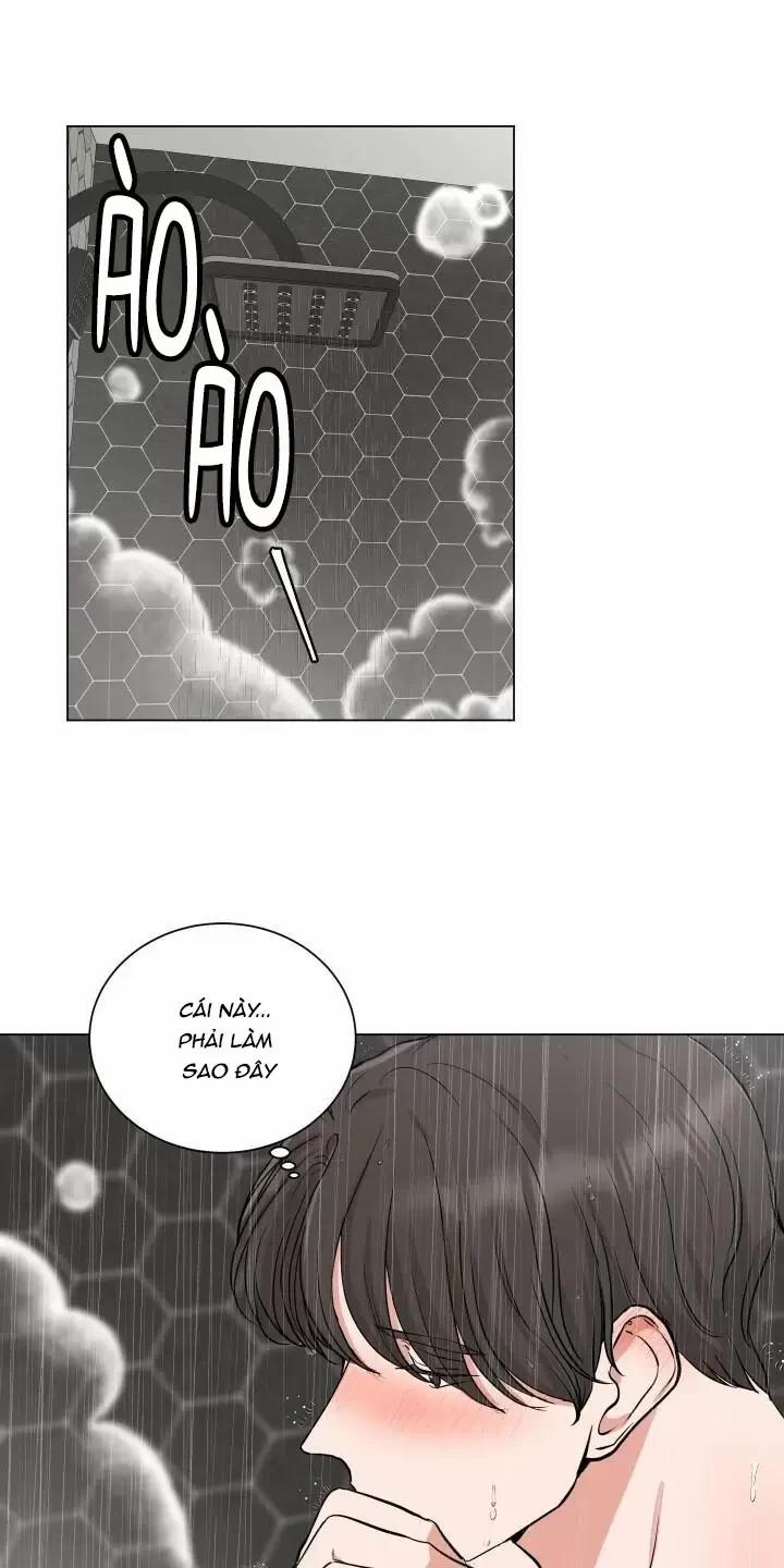 Họ Đã Ngủ Với Nhau 8 trang 0