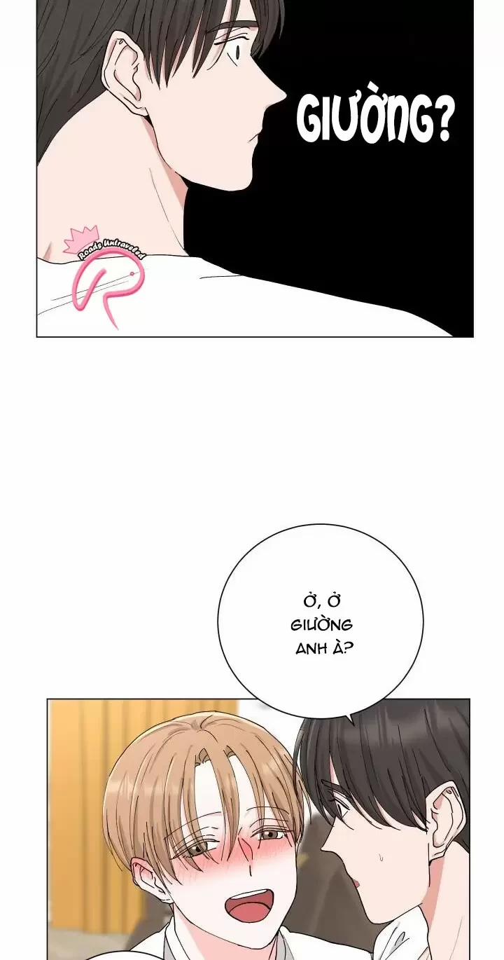 Họ Đã Ngủ Với Nhau 8 trang 31