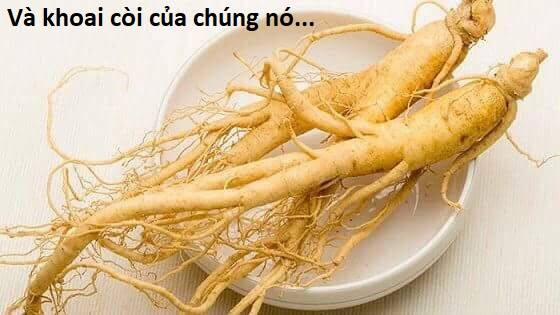 Hổ Đến Chơi Nhà 100 trang 76