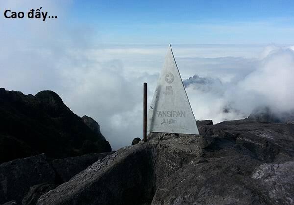 Hổ Đến Chơi Nhà 101 trang 105