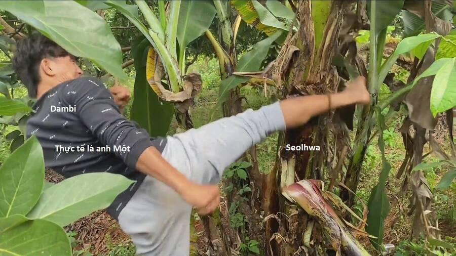 Hổ Đến Chơi Nhà 104 trang 30