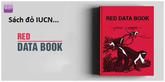 Hổ Đến Chơi Nhà 104 trang 31