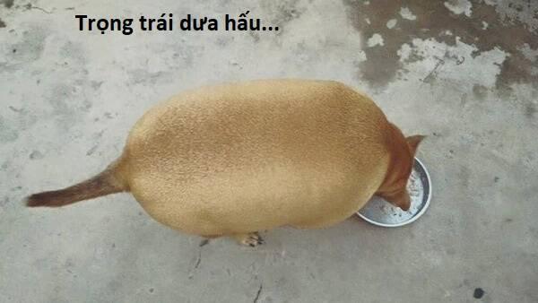 Hổ Đến Chơi Nhà 105 trang 102