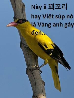 Hổ Đến Chơi Nhà 107 trang 82