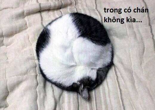 Hổ Đến Chơi Nhà 107 trang 84