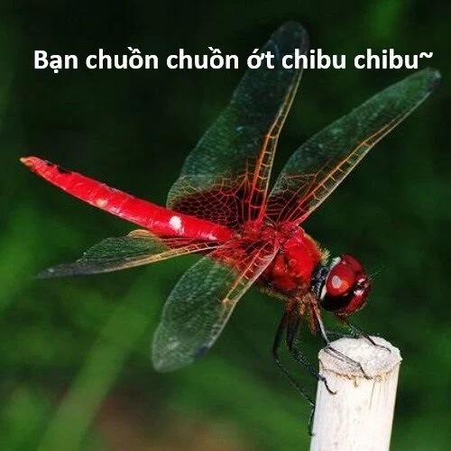 Hổ Đến Chơi Nhà 117 trang 101