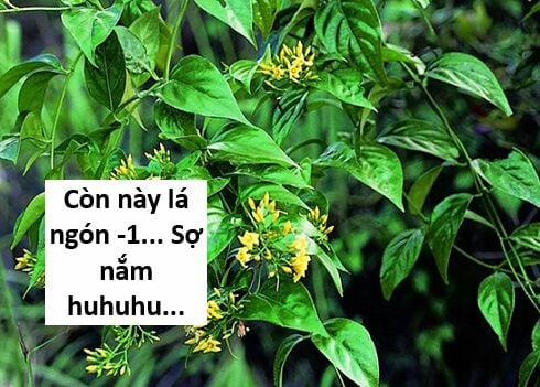 Hổ Đến Chơi Nhà 117 trang 96