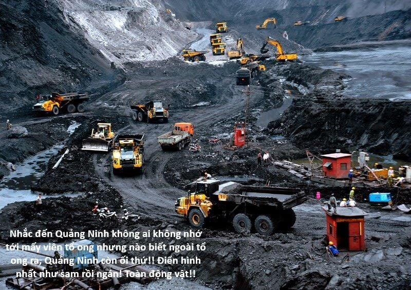 Hổ Đến Chơi Nhà 118 trang 24