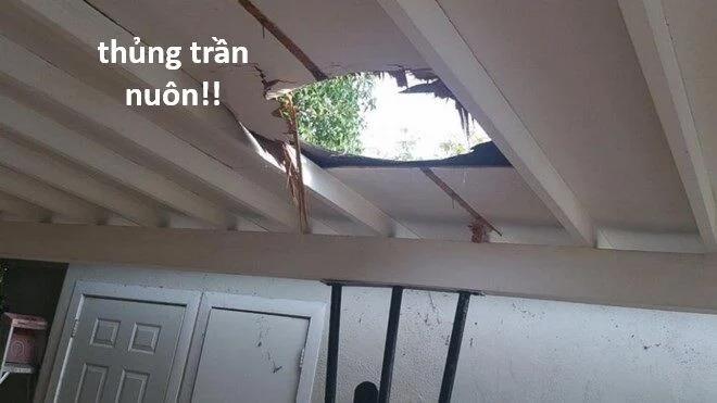 Hổ Đến Chơi Nhà 120 trang 51