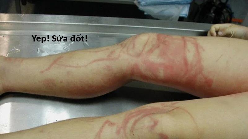 Hổ Đến Chơi Nhà 120 trang 53