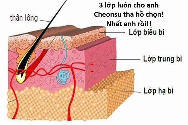 Hổ Đến Chơi Nhà 121 trang 44