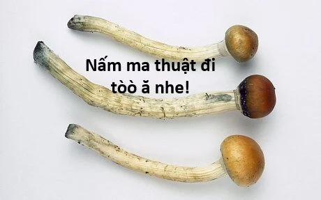 Hổ Đến Chơi Nhà 121 trang 54