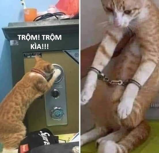 Hổ Đến Chơi Nhà 123 trang 54