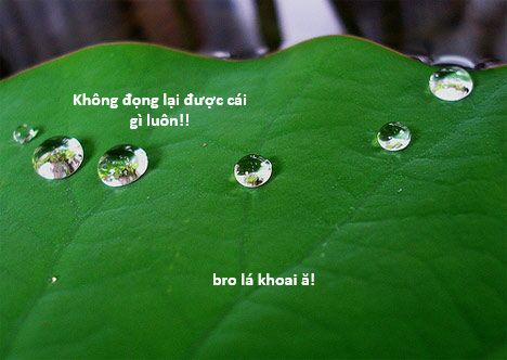 Hổ Đến Chơi Nhà 131 trang 122