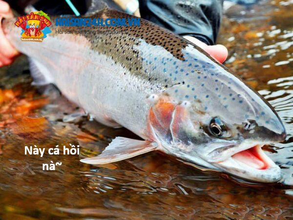 Hổ Đến Chơi Nhà 131 trang 123