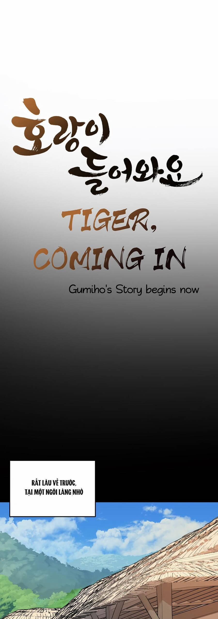 Hổ Đến Chơi Nhà 28 trang 13