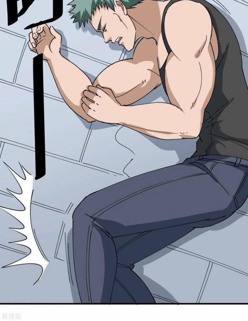 Hộ Hoa Cao Thủ Tại Vườn Trường 55 trang 13