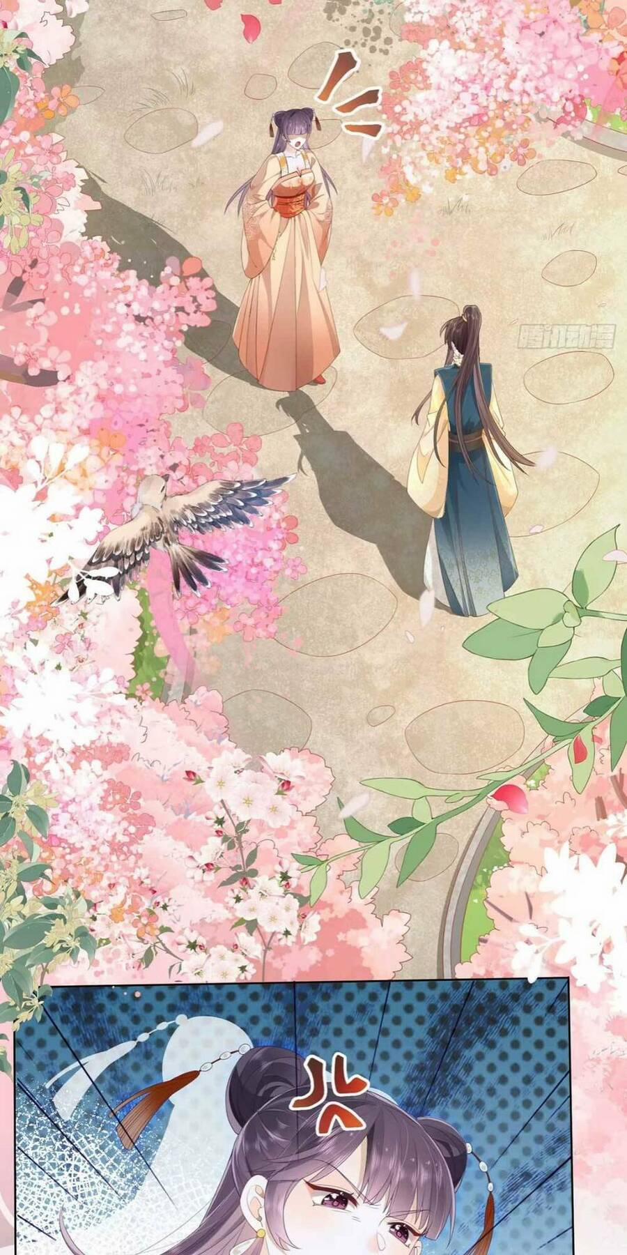 Hồ Ly Cáo Già Và Bạch Liên Hoa Cao Lãnh , Ai Sẽ Lộ Tẩy Trước Đây? 1 trang 1