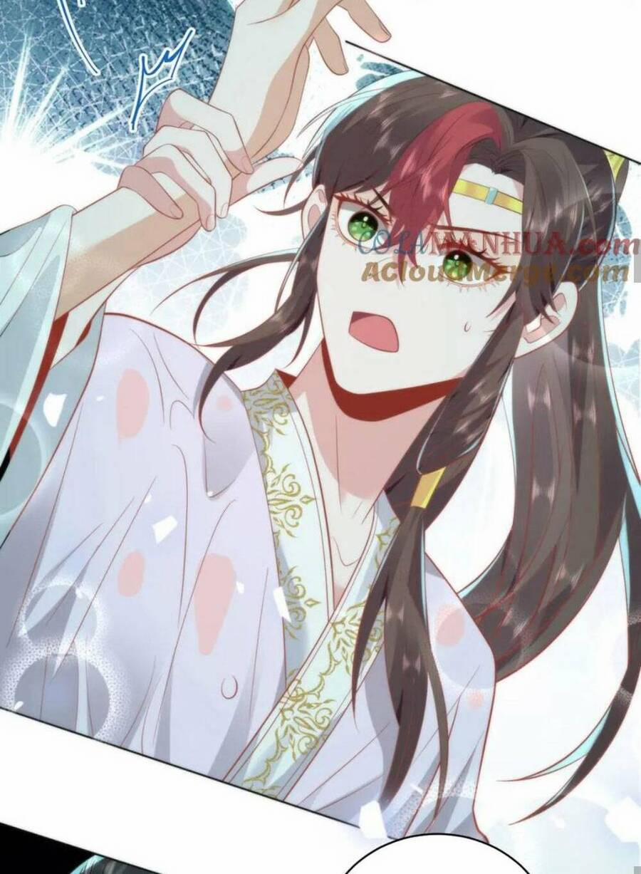 Hồ Ly Cáo Già Và Bạch Liên Hoa Cao Lãnh , Ai Sẽ Lộ Tẩy Trước Đây? 19 trang 12