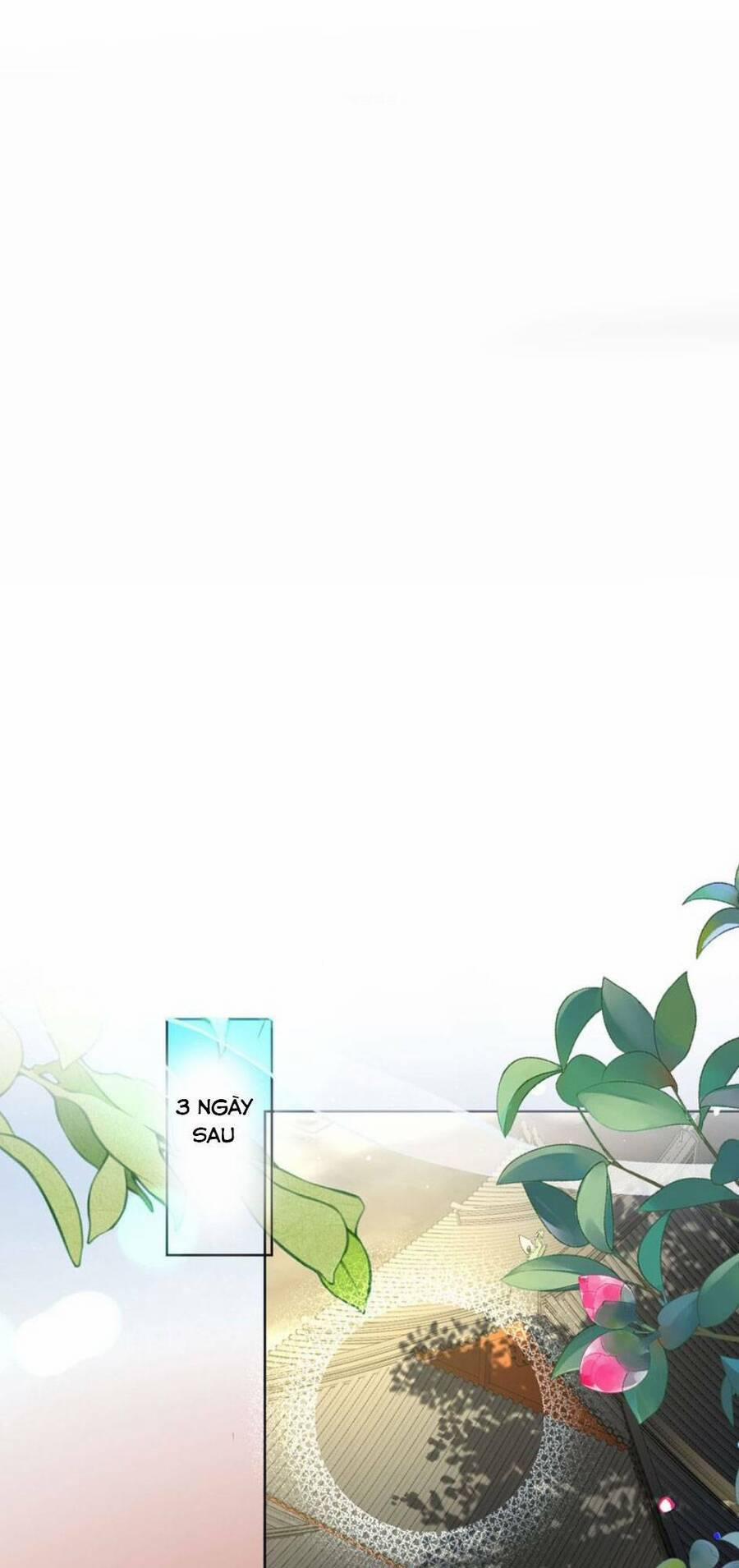 Hồ Ly Cáo Già Và Bạch Liên Hoa Cao Lãnh , Ai Sẽ Lộ Tẩy Trước Đây? 23 trang 19