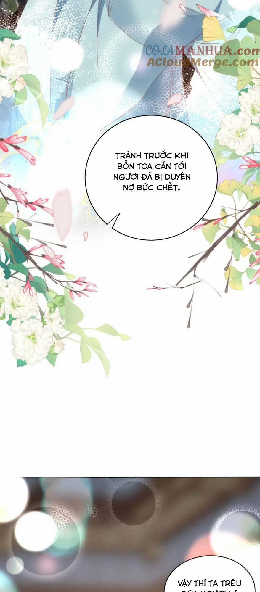 Hồ Ly Cáo Già Và Bạch Liên Hoa Cao Lãnh , Ai Sẽ Lộ Tẩy Trước Đây? 25 trang 12