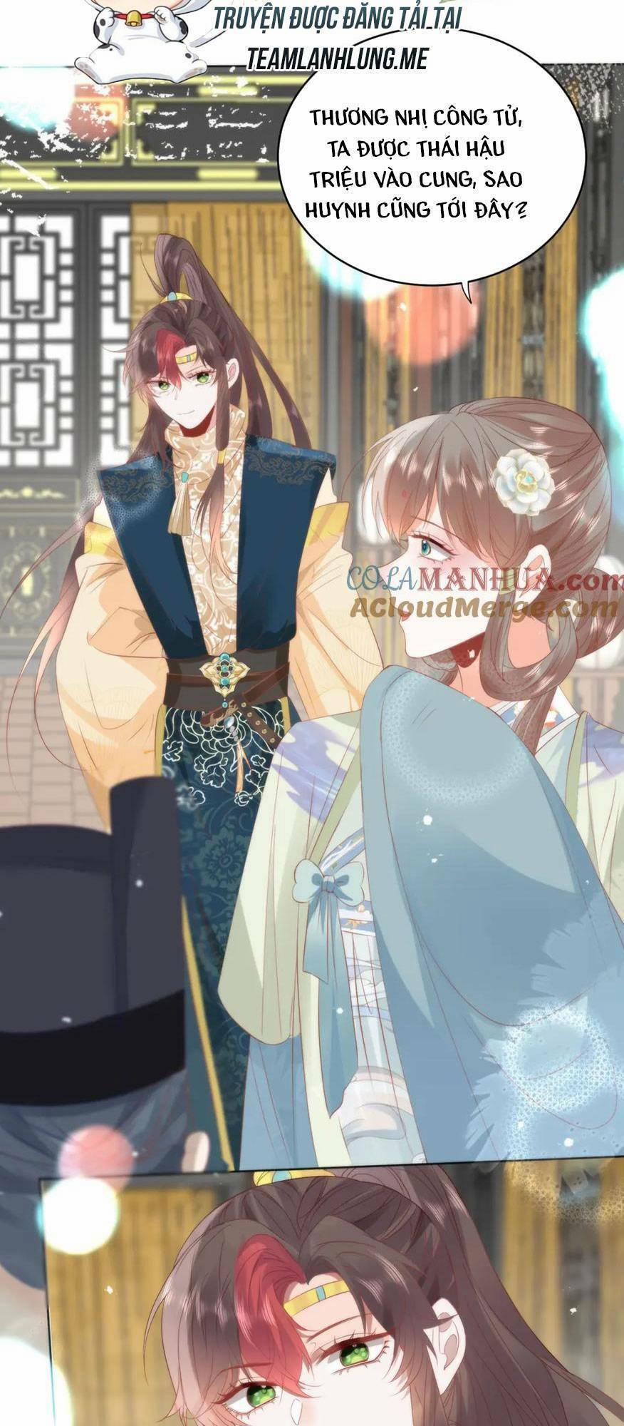 Hồ Ly Cáo Già Và Bạch Liên Hoa Cao Lãnh , Ai Sẽ Lộ Tẩy Trước Đây? 26 trang 3