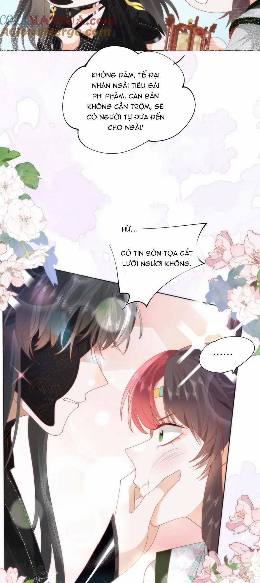 Hồ Ly Cáo Già Và Bạch Liên Hoa Cao Lãnh , Ai Sẽ Lộ Tẩy Trước Đây? 28 trang 5