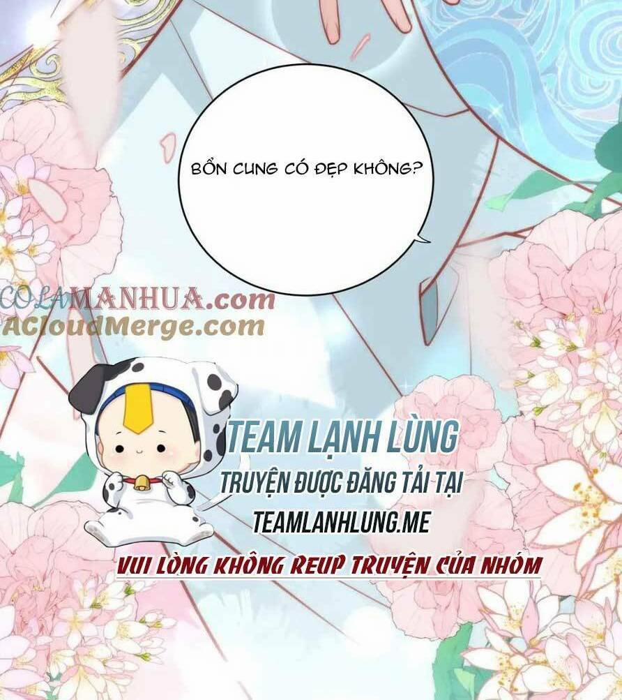 Hồ Ly Cáo Già Và Bạch Liên Hoa Cao Lãnh , Ai Sẽ Lộ Tẩy Trước Đây? 29 trang 33