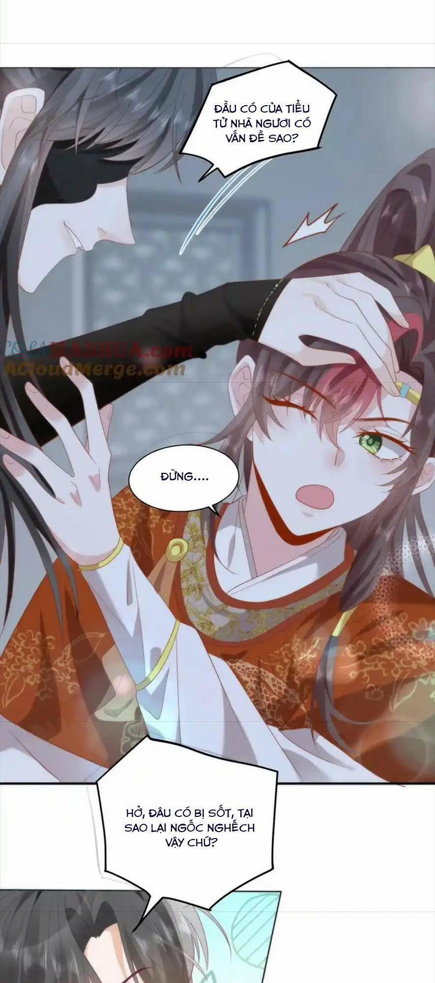 Hồ Ly Cáo Già Và Bạch Liên Hoa Cao Lãnh , Ai Sẽ Lộ Tẩy Trước Đây? 32 trang 28