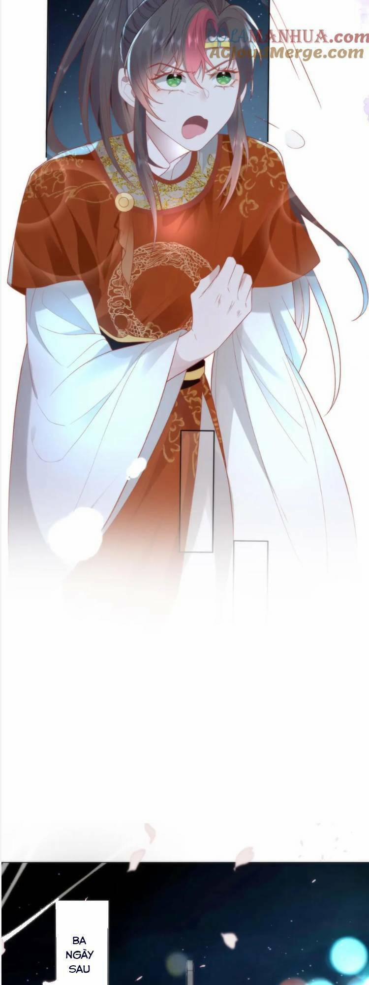 Hồ Ly Cáo Già Và Bạch Liên Hoa Cao Lãnh , Ai Sẽ Lộ Tẩy Trước Đây? 33 trang 5