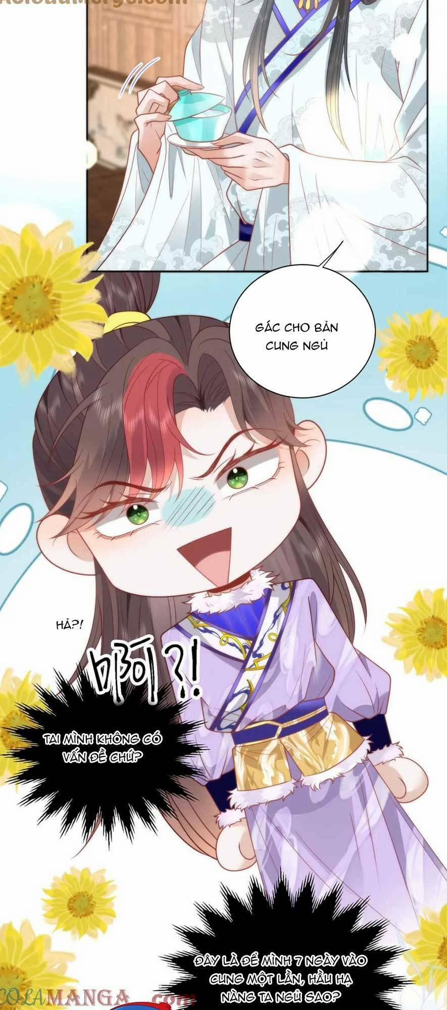 Hồ Ly Cáo Già Và Bạch Liên Hoa Cao Lãnh , Ai Sẽ Lộ Tẩy Trước Đây? 40 trang 23