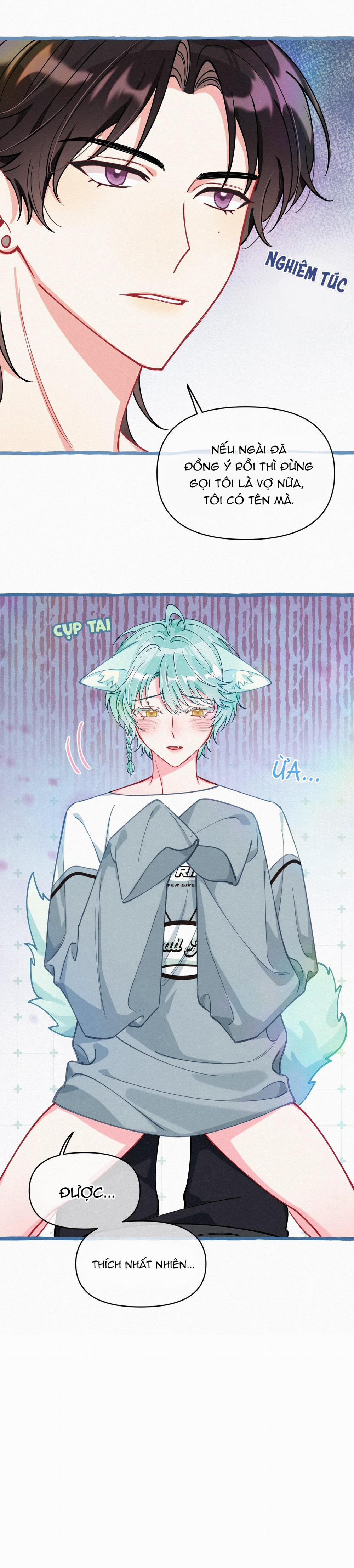 Hồ Ly Hay Là  11 trang 17