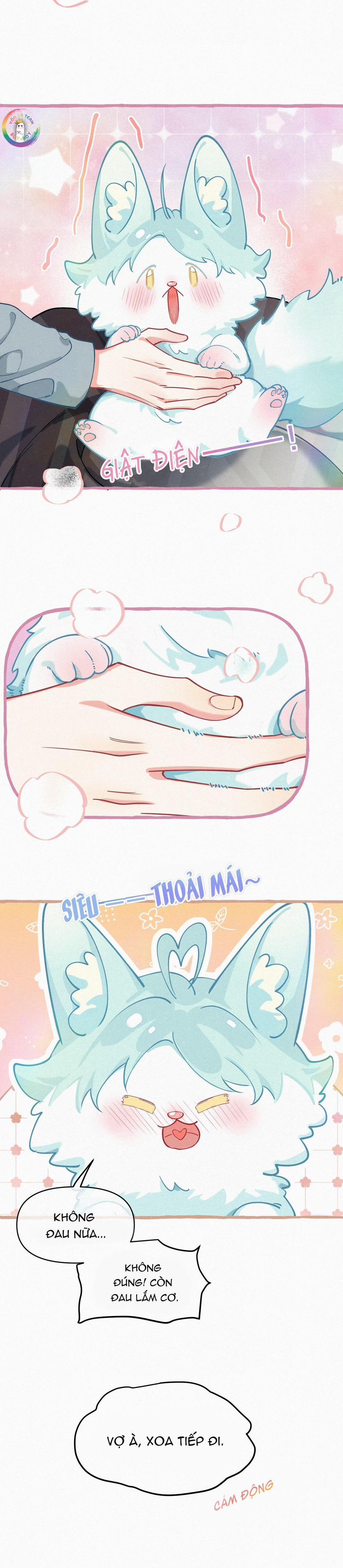 Hồ Ly Hay Là  11 trang 5