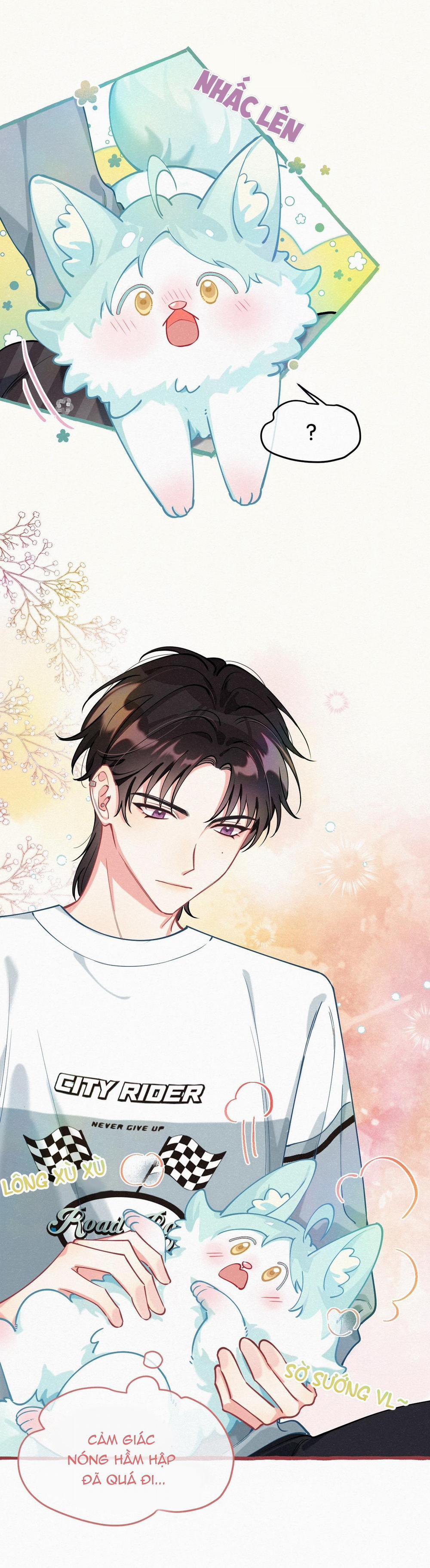 Hồ Ly Hay Là  11 trang 6