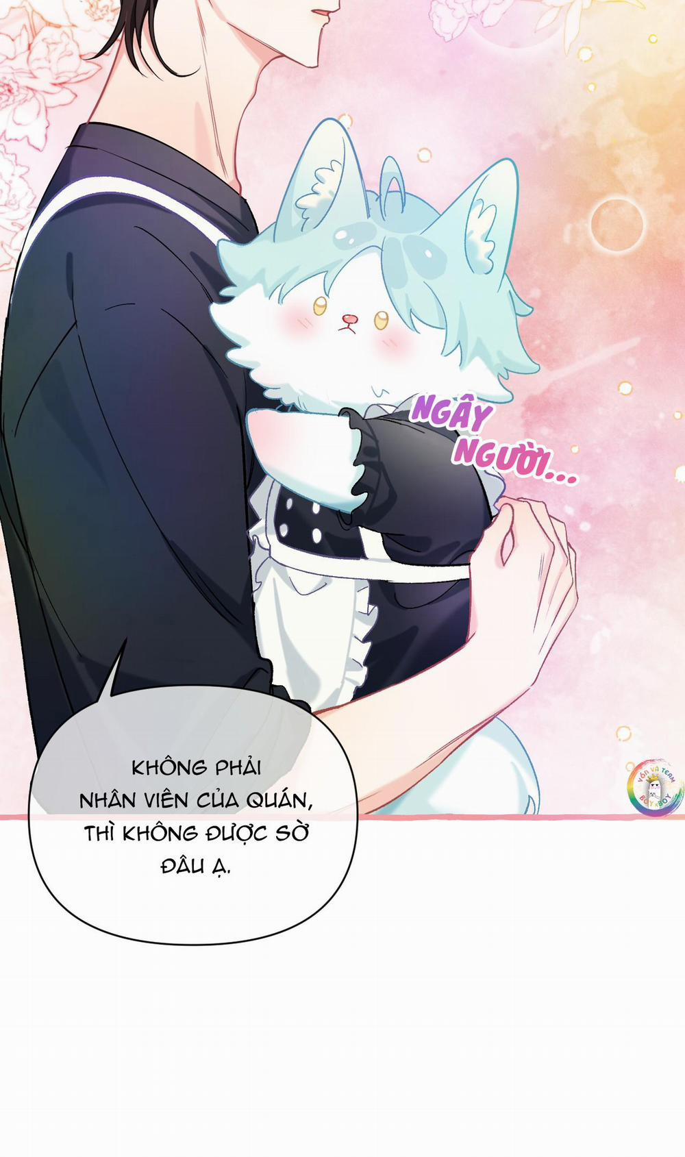 Hồ Ly Hay Là  23 trang 38