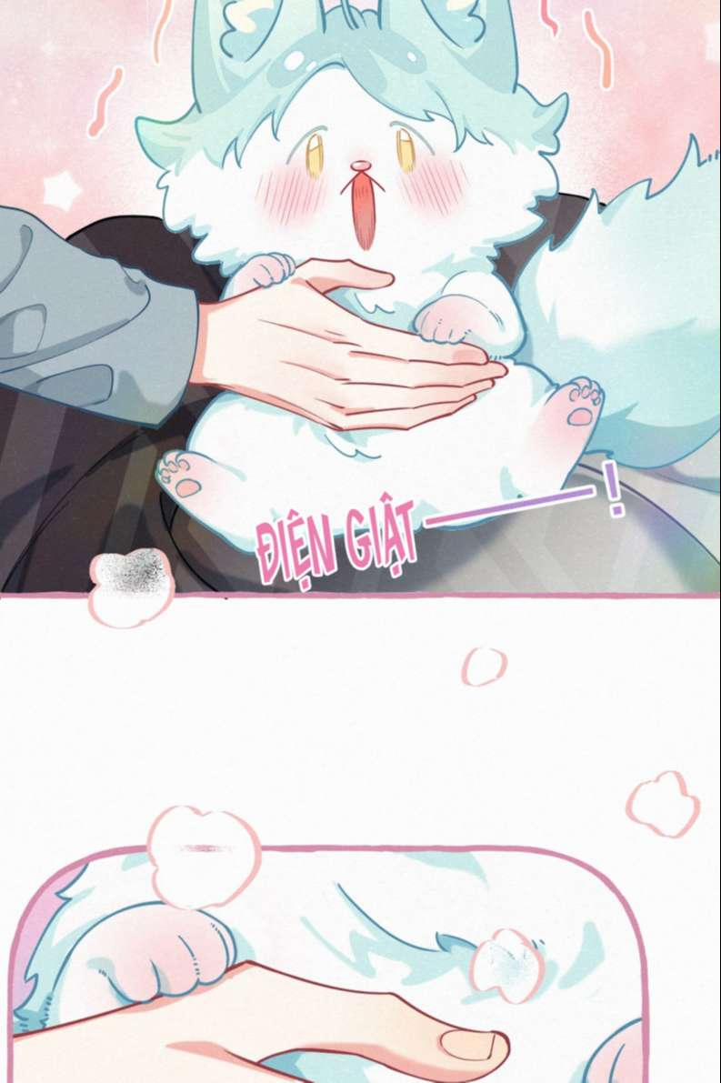 Hồ Ly Rắc Rối 11 trang 14