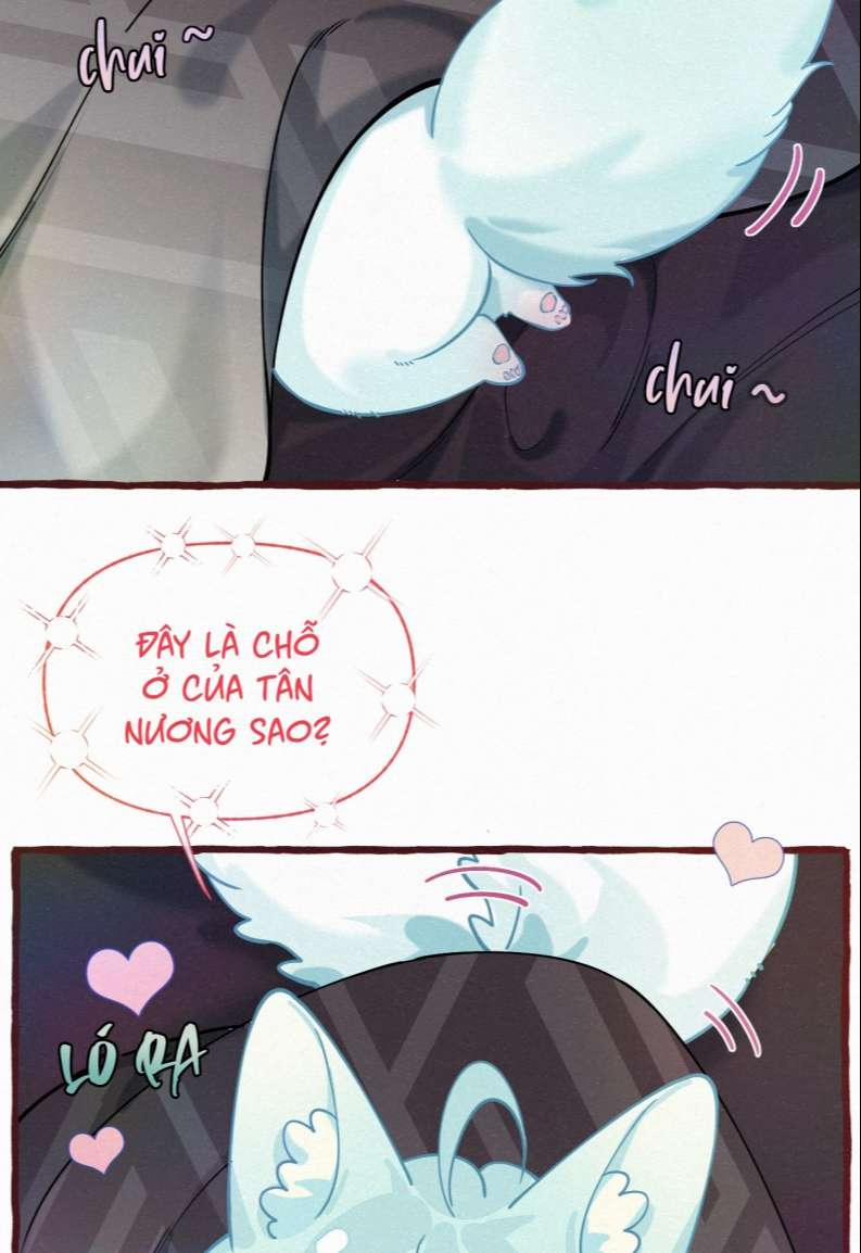 Hồ Ly Rắc Rối 11 trang 2