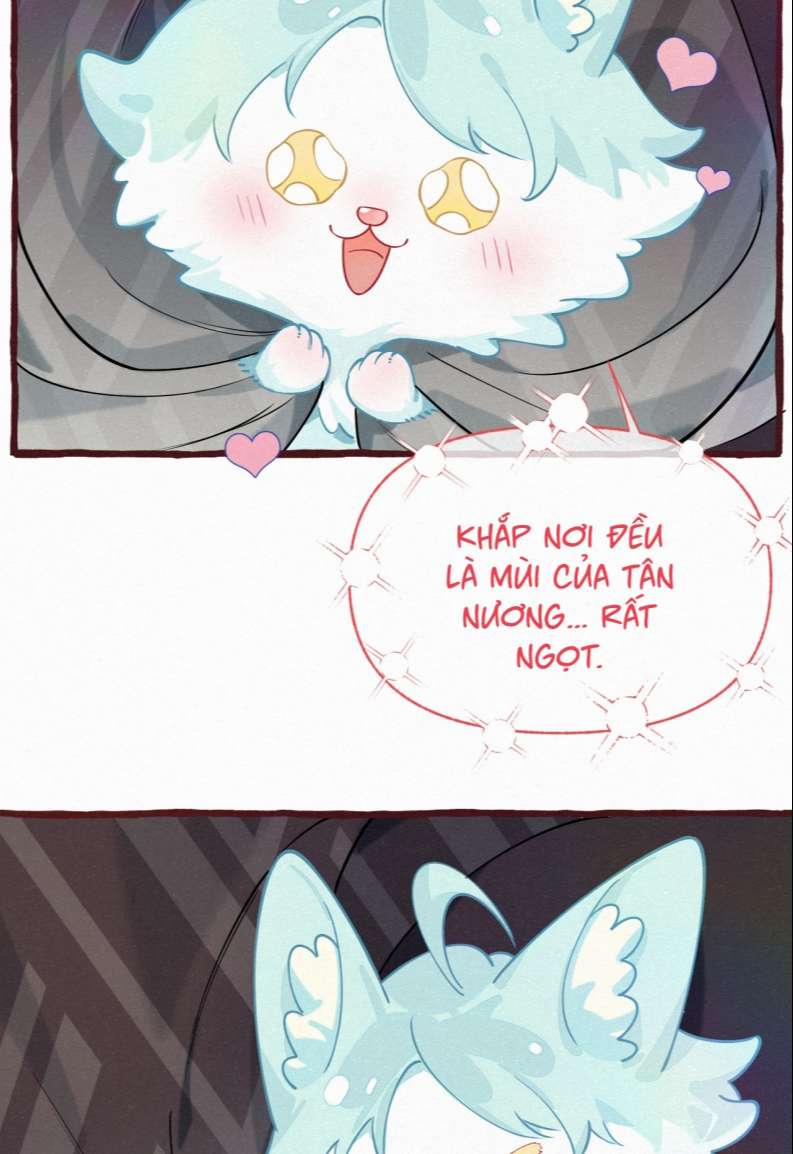 Hồ Ly Rắc Rối 11 trang 3