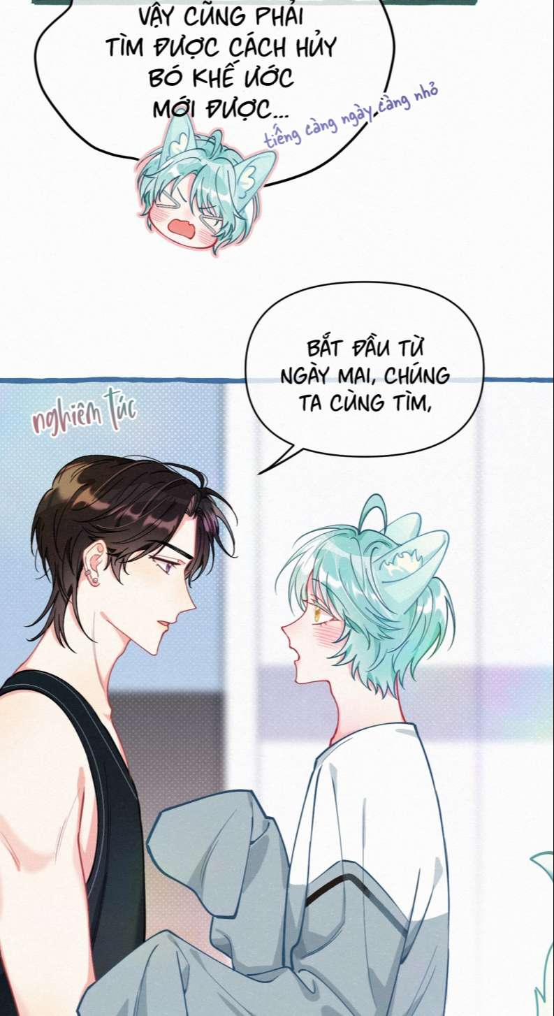 Hồ Ly Rắc Rối 11 trang 37